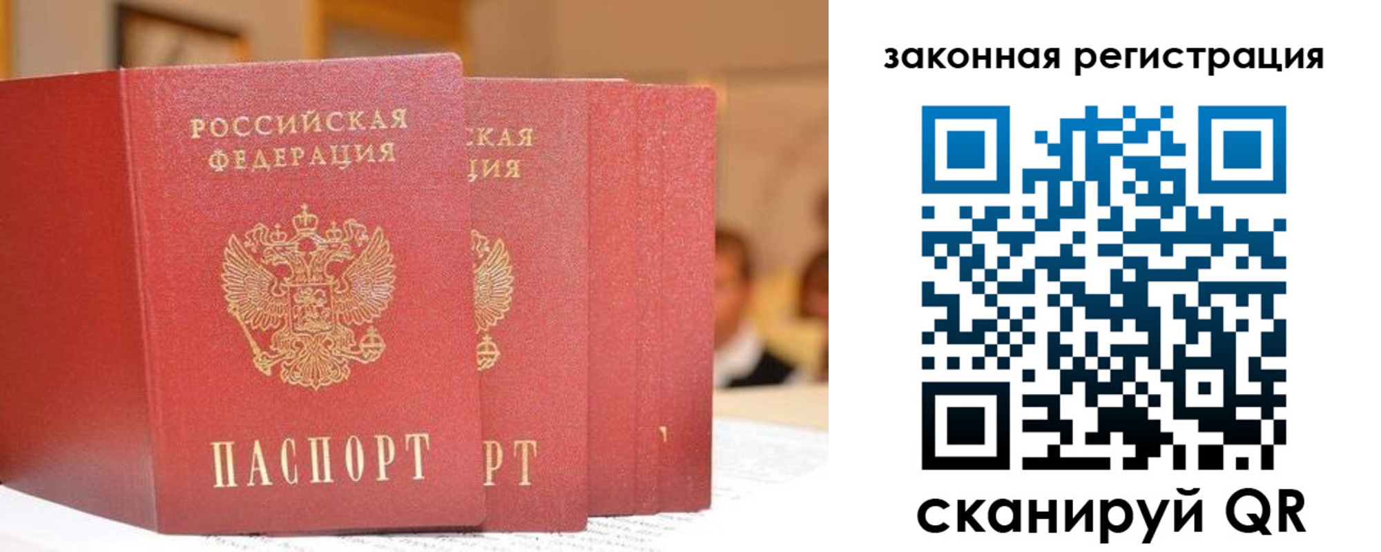 прописка поиск в Березниках